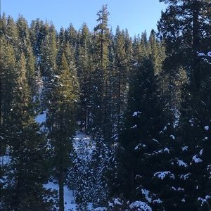 Meet your Posher, Elisabeth